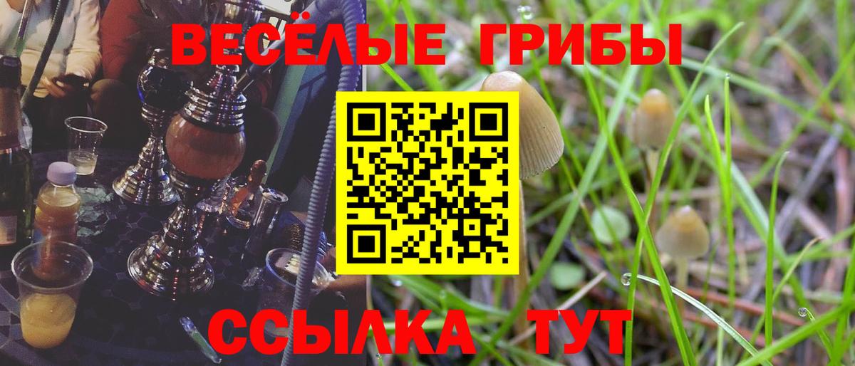 Псилоцибиновые грибы Magic Shrooms  Вход с VPN  Алексеевка 